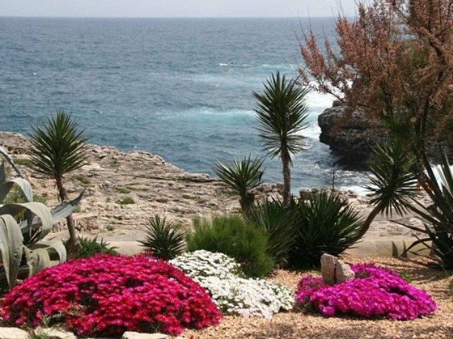 Parque Mar Station touristique