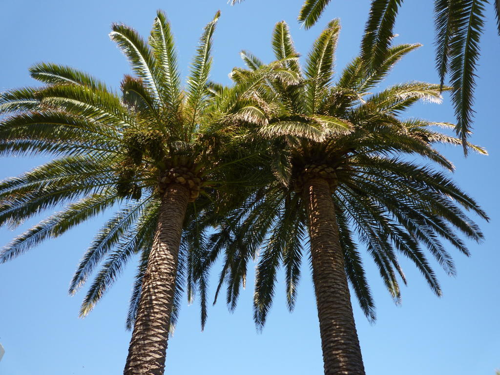Parque Mar 3*
