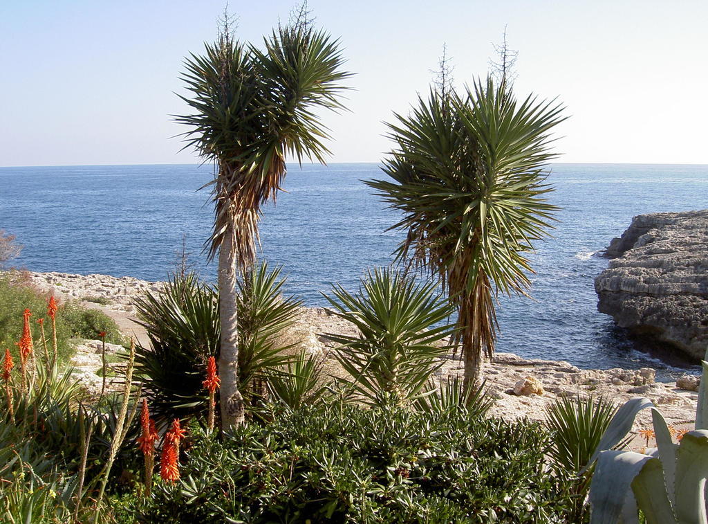 Parque Mar Station touristique 3*