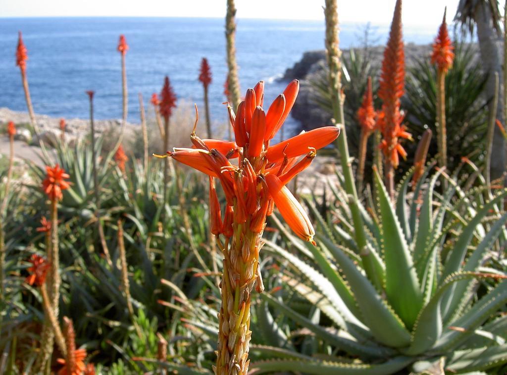 Feriested Parque Mar